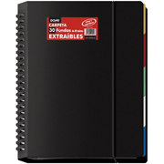 DOHE CARPETA FUNDAS A4 ESPIRAL EXTRAIBLES 30F NEGRO 91051